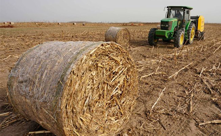 我國生物質(zhì)資源豐富 我國生物質(zhì)資源豐富