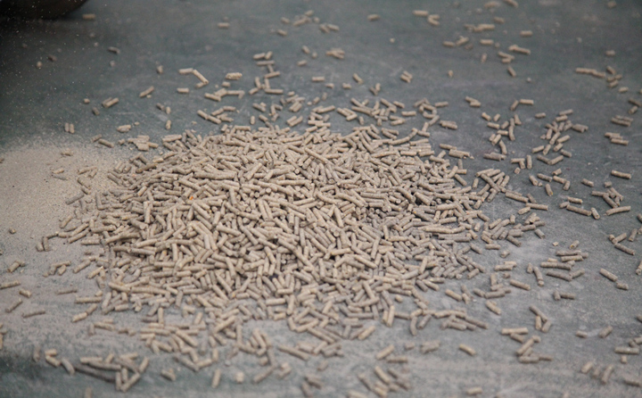 為什么經過木屑造粒機加工的生物自燃料就可以燃燒呢?.jpg 為什么經過木屑造粒機加工的生物自燃料就可以燃燒呢?.jpg